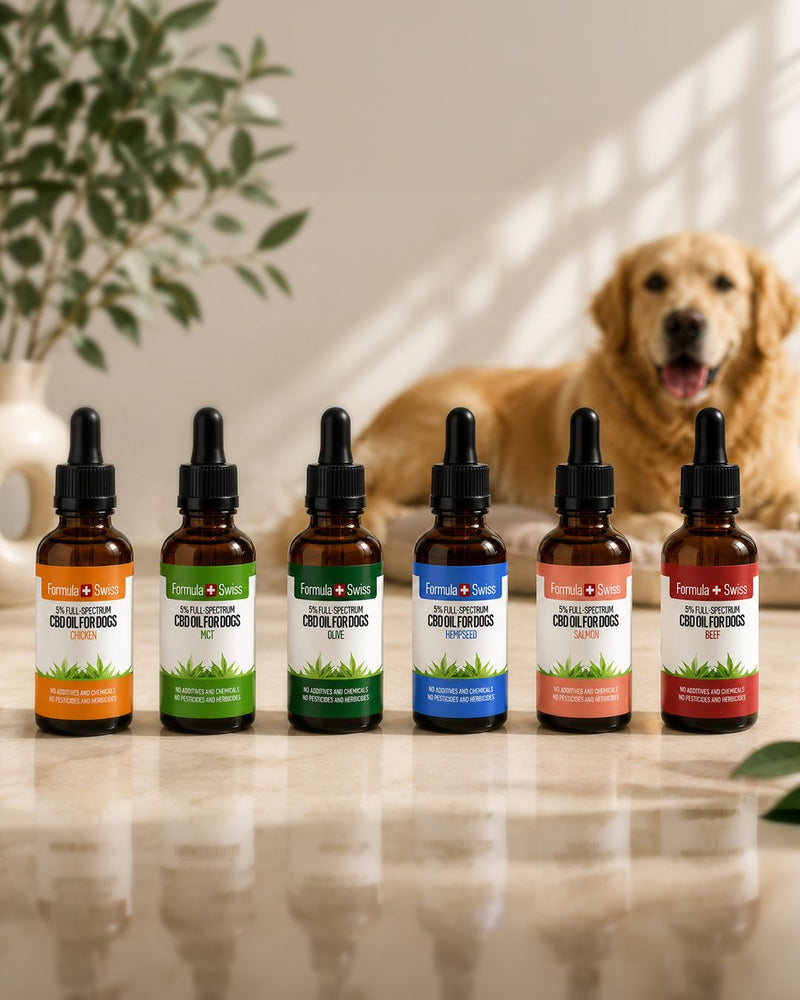 Óleo CBD para cães