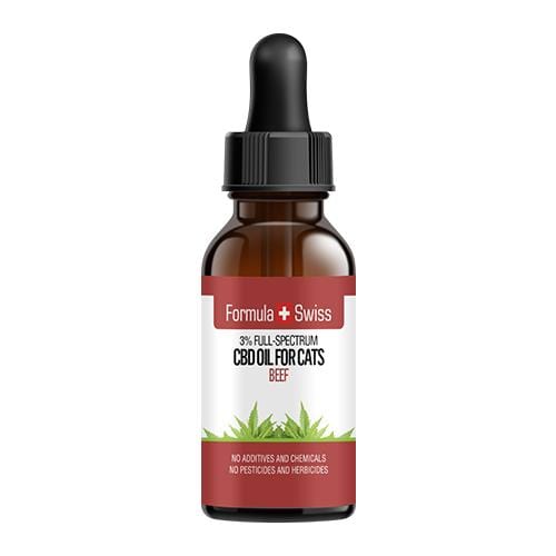 Gatos CBD Óleo em Óleo MCT com Aroma de Carne Bovina
