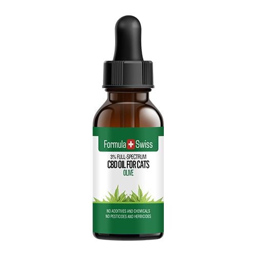 Gatos CBD óleo em azeite