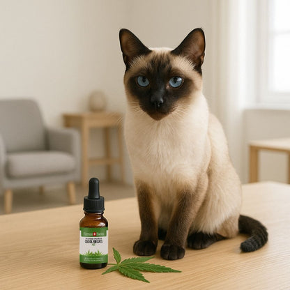Óleo CBD para gatos MCT óleo