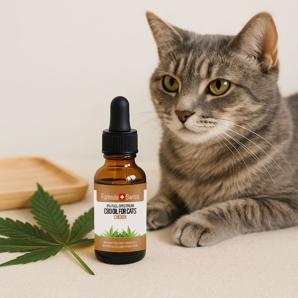 Óleo CBD para gatos Frango