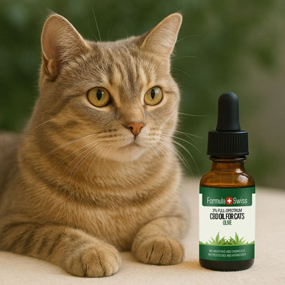 Óleo CBD para gatos Azeitova