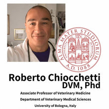 Professor Roberto Chiocchetti da Universidade de Bolonha
