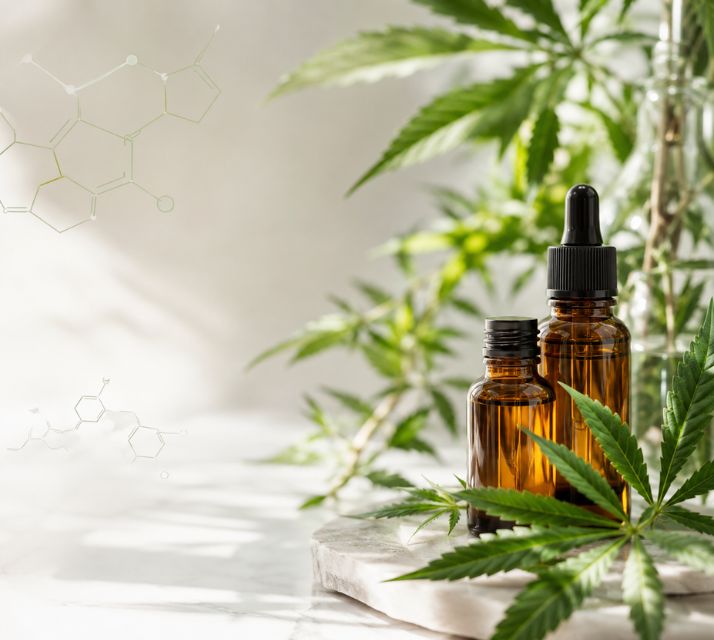 Educação de canabinóides e compostos de plantas de cânham