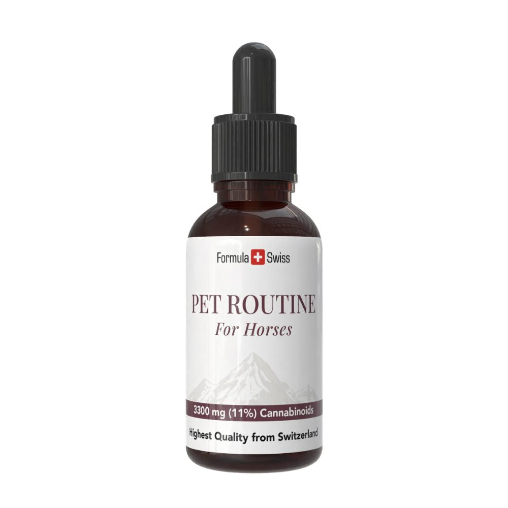 Formula Swiss Pet Routine para cavalos – óleo de CBD 10% CBD, frasco conta-gotas