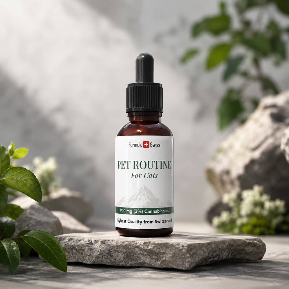 Frasco de Pet Routine para gatos sobre uma superfície de pedra, com vegetação ao fundo